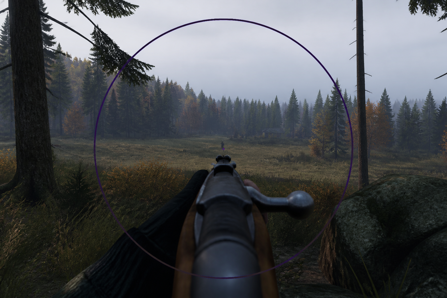 Aimbot DayZ cheat preview