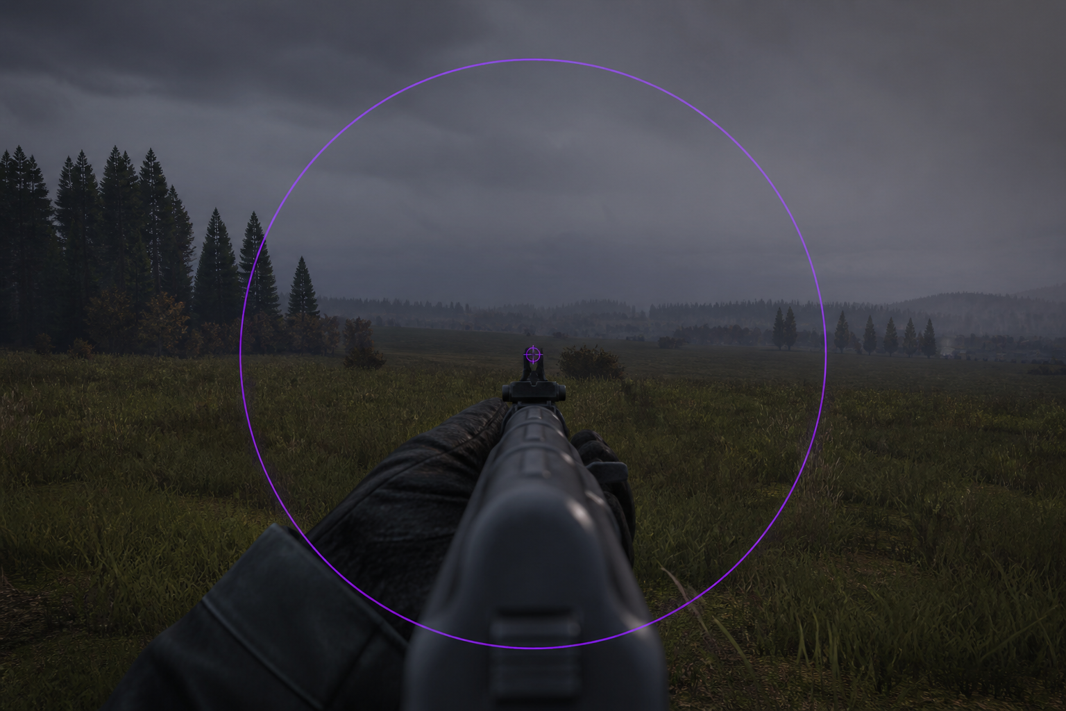 DayZ Aimbot FOV ring and assist overlay